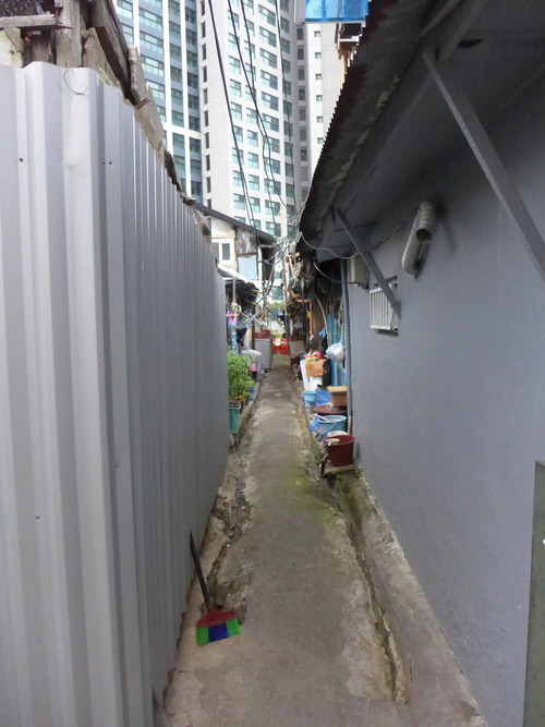 P1550336