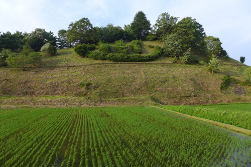 巨大な温泉マークの森！IN長湯温泉