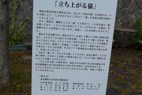 P1010390
