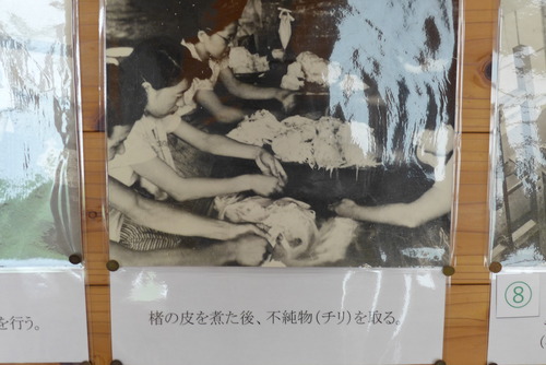 P1210176