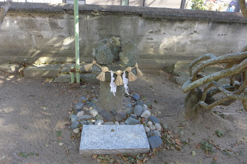 P1040557