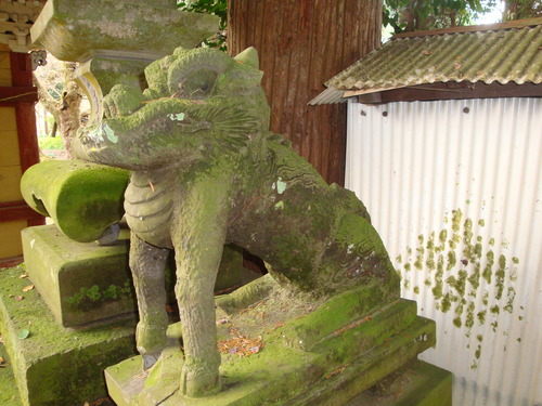 DSC08318