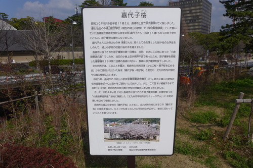 P1090202