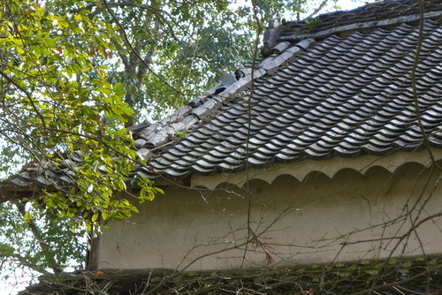 P1030150