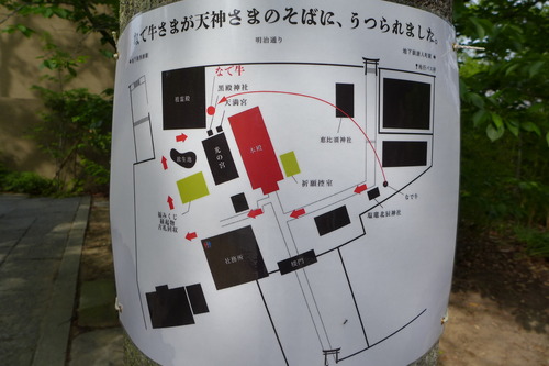 P1110063
