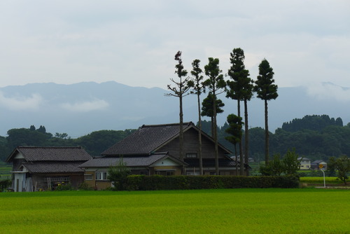 P1080982