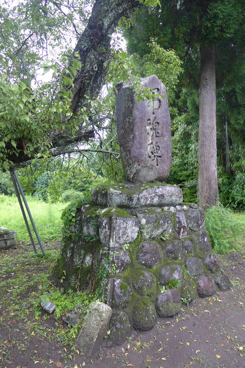 P1300141