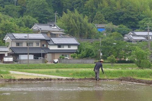 P1100901