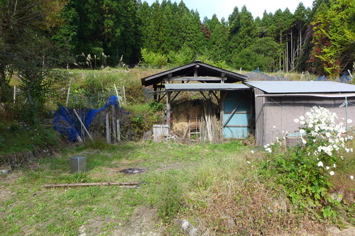 P1250888