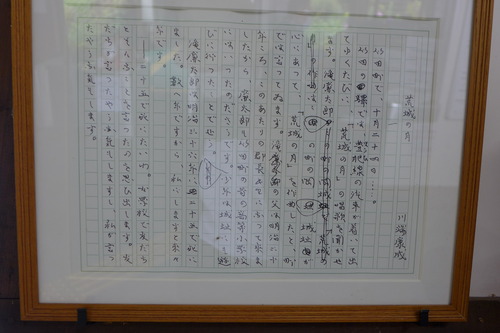 P1100433