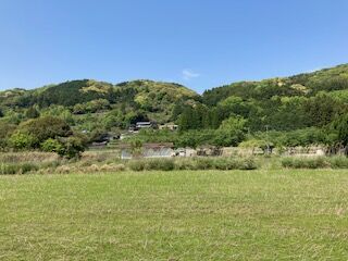 IMG_3807