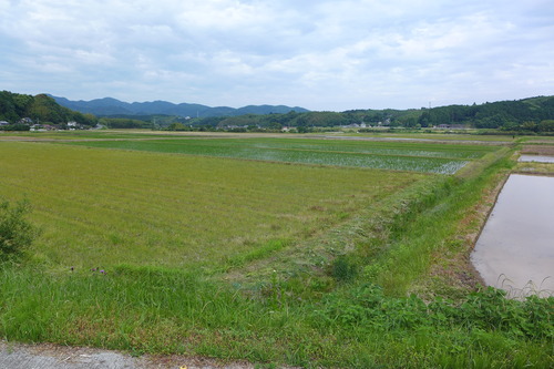 P1120886
