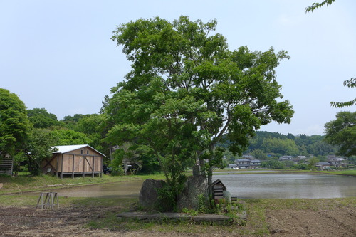 P1100810