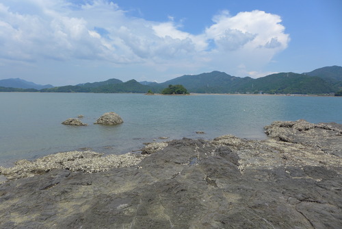 P1070966