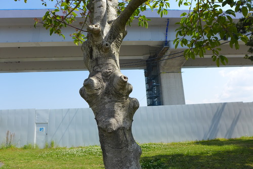 P1040715