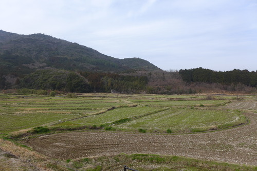 大分県豊後高田市の田染荘モニターツアーに体験参加しました！
