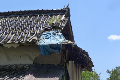 P1200619
