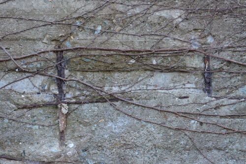P1030601