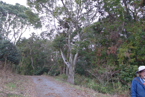 P1060634