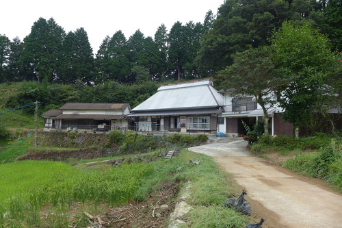 P1200261