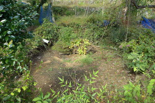 P1250890