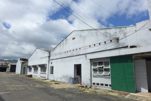P1050610