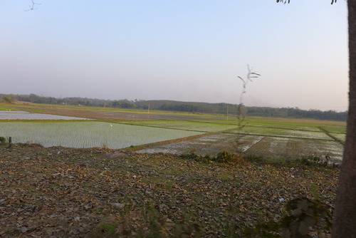 20260215インド北東トリプラ州都アガルタル（その9）JICA海外協力隊竹工芸訓練指導者まっぽん（松本浩和さん）郊外エリア竹編組品製造卸元をフィールドワーク！