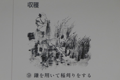 P1190478
