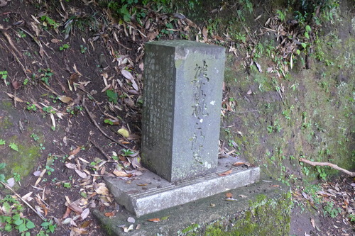 P1300337