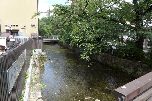 P1160909