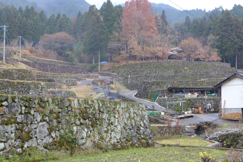 P1520581