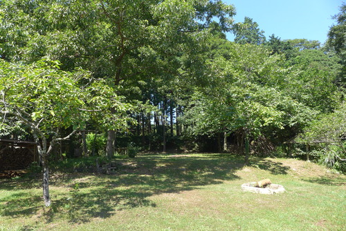 P1200583
