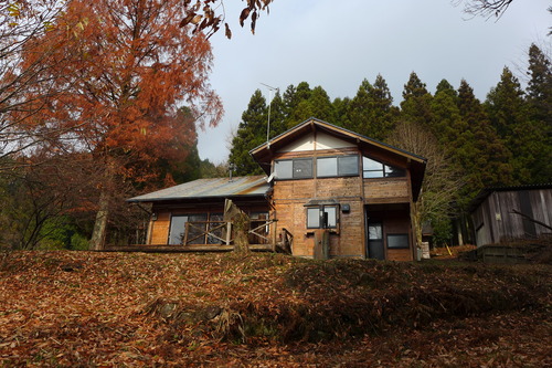 P1520564