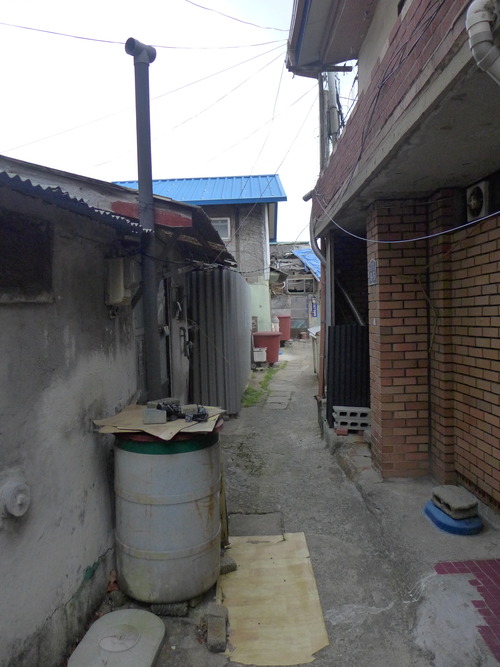 P1550313