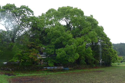 P1070855