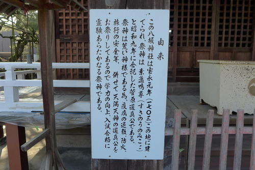 P1150168