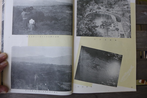 P1530015