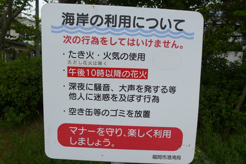 P1040678