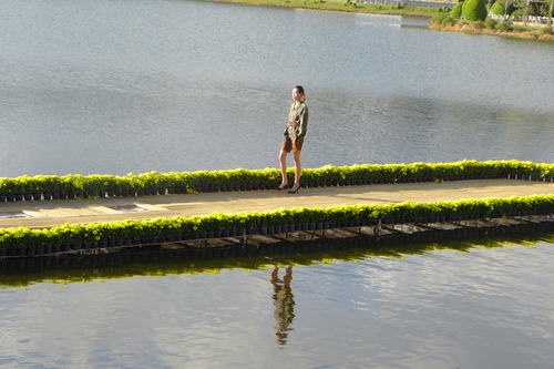 P1530336