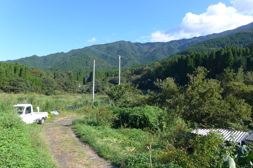 20251006竹田秋のさやけきフラヌール（その５）とよくに農園（竹田市倉木）無農薬水稲の平山貴之さん手塩にかけた稲穂たわわ！
