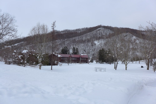 P1150007