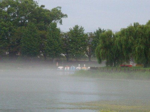 DSC09850