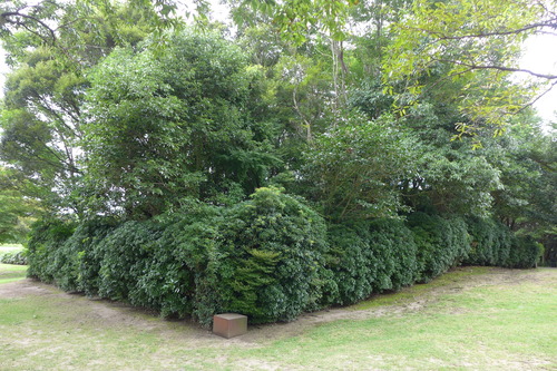 P1150836