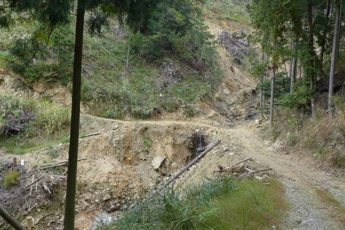 P1250928