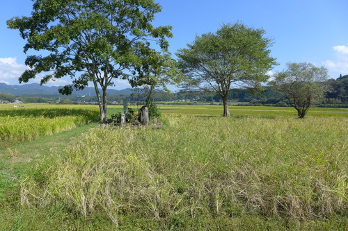 P1180946