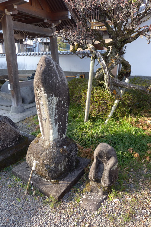 P1150159