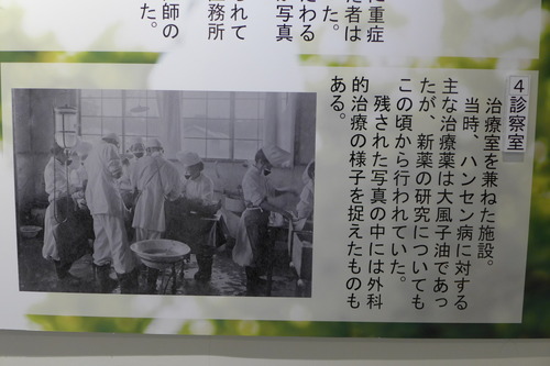 P1150669