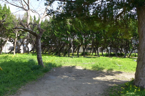 P1060099