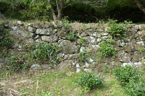 P1250777