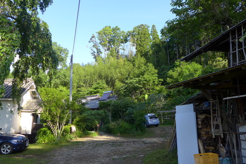 P1150855